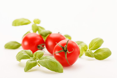 Similar image 2288632