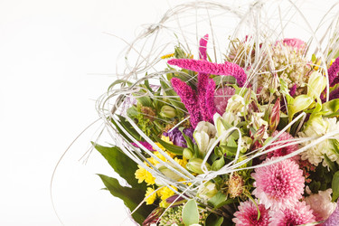 Similar image 2288636