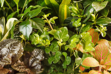 Similar image 2288639