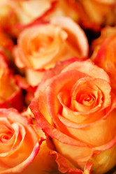 Similar image 2288652