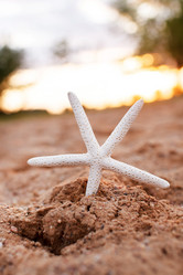 Similar image 2288655