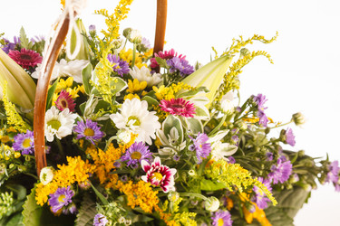 Similar image 2288658