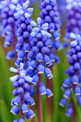 Similar image 2288724