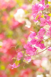 Similar image 2288734