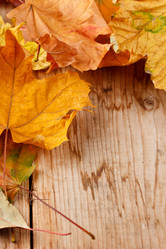 Similar image 2288737