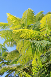 Similar image 2288740