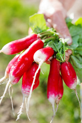 Similar image 2288750