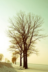 Similar image 2288751