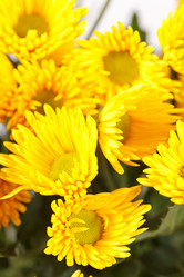 Similar image 2288754