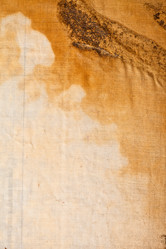 Similar image 2288764