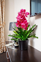 Similar image 2288766