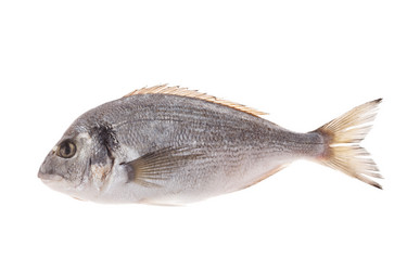 Similar image 2288802