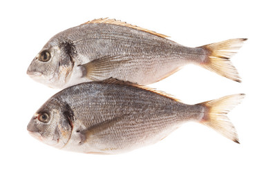 Similar image 2288804