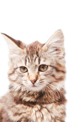 Similar image 2288889