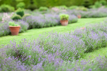 Similar image 2288891