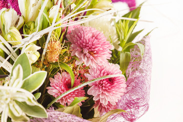 Similar image 2288894