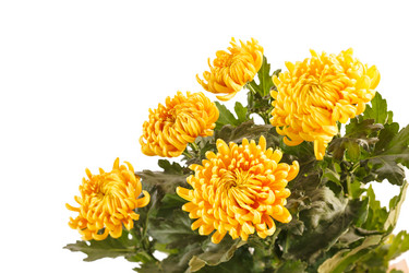 Similar image 2288895