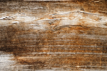 Similar image 2298222