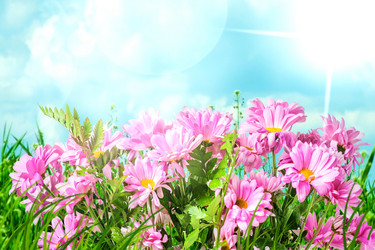 Similar image 2298304