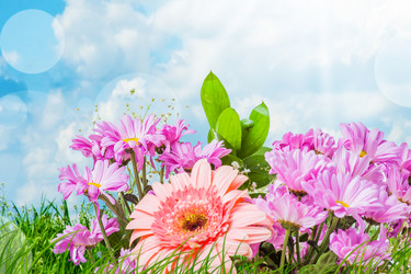 Similar image 2298307