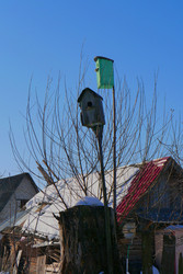 Similar image 2298322