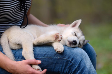 Similar image 2298483