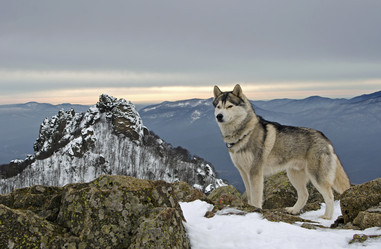 Similar image 2298487