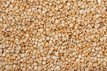 Similar image 2298731