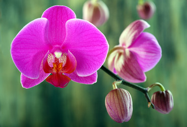 Similar image 2298933