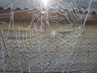 Similar image 2299070