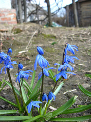 Similar image 2299074