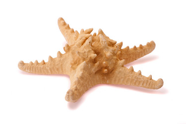 Similar image 2299130