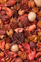 Similar image 2299141