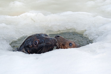 Similar image 2299157