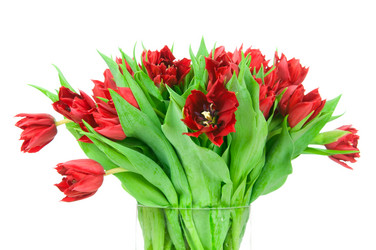 Similar image 2299170