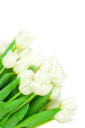 Similar image 2299187