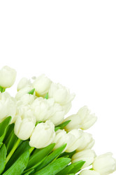 Similar image 2299190