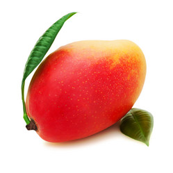 Similar image 2299323