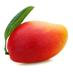 Similar image 2299324