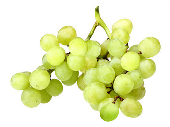 Similar image 2299394