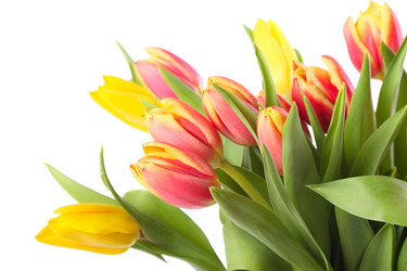 Similar image 2299448