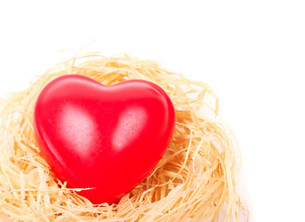 Similar image 2299461