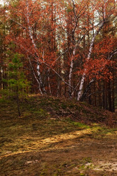 Similar image 2299524