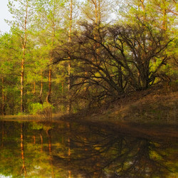 Similar image 2299566