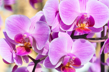 Similar image 2299841