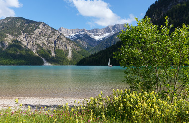 Similar image 2299877