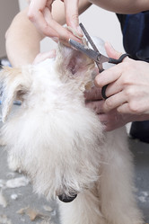 Similar image 2299887