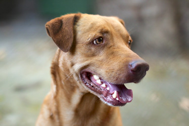 Similar image 2299889