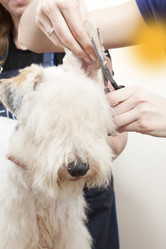 Similar image 2299890