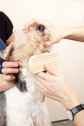 Similar image 2299892